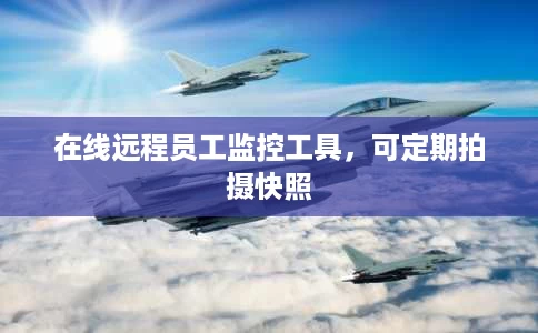 在线远程员工监控工具，可定期拍摄快照