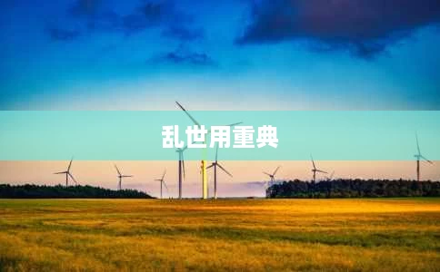 乱世用重典 乱世用重典