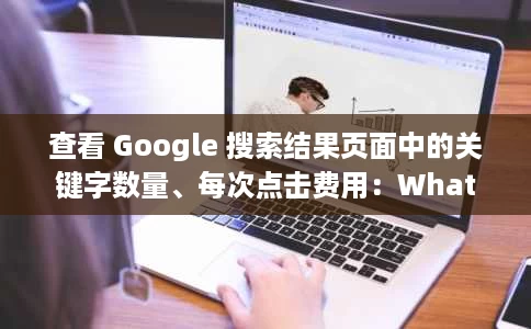 查看 Google 搜索结果页面中的关键字数量、每次点击费用：WhatsMySerp