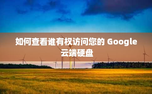 如何查看谁有权访问您的 Google 云端硬盘 如何查看谁有权访问您的 Google 云端硬盘