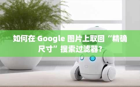 如何在 Google 图片上取回“精确尺寸”搜索过滤器? 如何在 Google 图片上取回“精确尺寸”搜索过滤器?