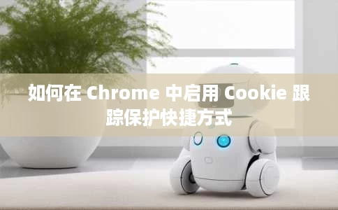 如何在 Chrome 中启用 Cookie 跟踪保护快捷方式 如何在 Chrome 中启用 Cookie 跟踪保护快捷方式
