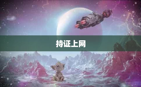 持证上网 持证上网