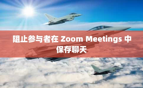 阻止参与者在 Zoom Meetings 中保存聊天 阻止参与者在 Zoom Meetings 中保存聊天