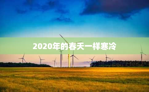 2020年的春天一样寒冷 2020年的春天一样寒冷