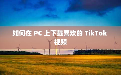 如何在 PC 上下载喜欢的 TikTok 视频 如何在 PC 上下载喜欢的 TikTok 视频