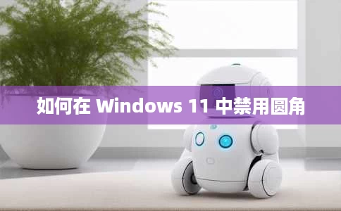 如何在 Windows 11 中禁用圆角 如何在 Windows 11 中禁用圆角