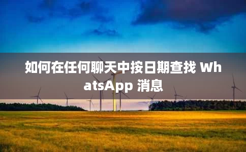 如何在任何聊天中按日期查找 WhatsApp 消息