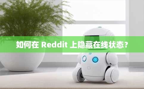 如何在 Reddit 上隐藏在线状态? 如何在 Reddit 上隐藏在线状态?