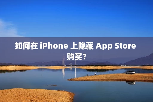 如何在 iPhone 上隐藏 App Store 购买? 如何在 iPhone 上隐藏 App Store 购买?