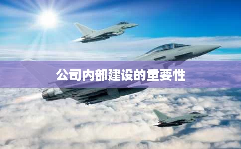 公司内部建设的重要性 公司内部建设的重要性