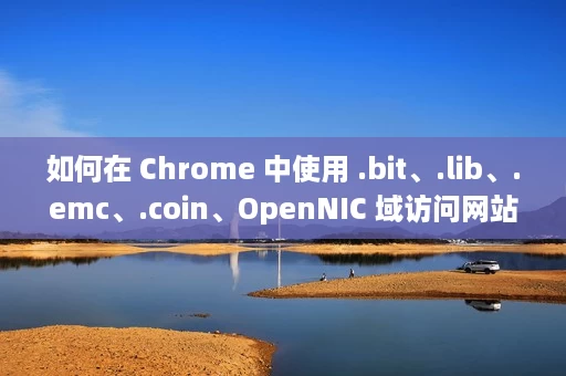 如何在 Chrome 中使用 .bit、.lib、.emc、.coin、OpenNIC 域访问网站 如何在 Chrome 中使用 .bit、.lib、.emc、.coin、OpenNIC 域访问网站