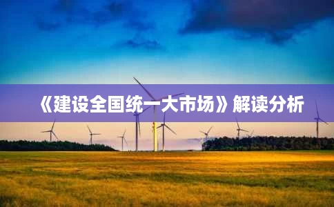 《建设全国统一大市场》解读分析 《建设全国统一大市场》解读分析