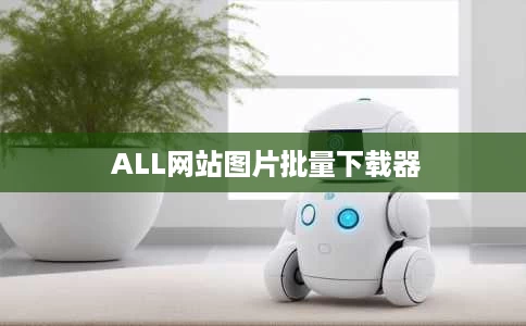 ALL网站图片批量下载器  ALL网站图片批量下载器