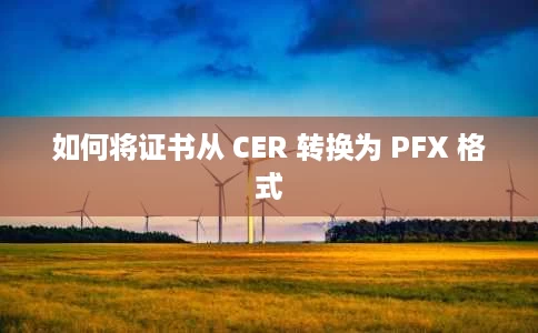 如何将证书从 CER 转换为 PFX 格式