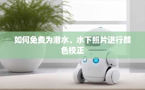 如何免费为潜水、水下照片进行颜色校正 如何免费为潜水、水下照片进行颜色校正