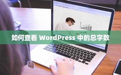 如何查看 WordPress 中的总字数 如何查看 WordPress 中的总字数