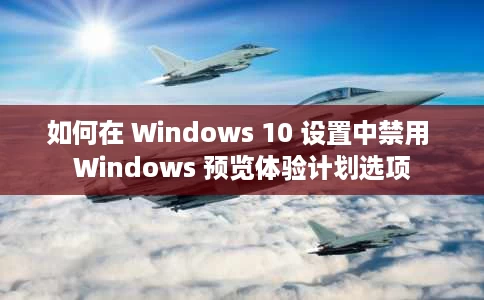 如何在 Windows 10 设置中禁用 Windows 预览体验计划选项