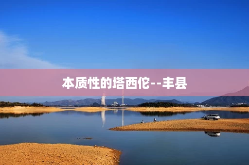 本质性的塔西佗--丰县 本质性的塔西佗--丰县