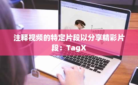 注释视频的特定片段以分享精彩片段:TagX 注释视频的特定片段以分享精彩片段:TagX