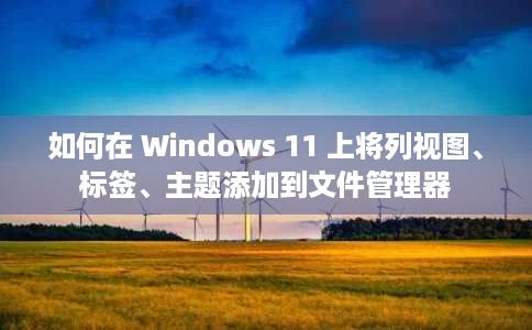 如何在 Windows 11 上将列视图、标签、主题添加到文件管理器 如何在 Windows 11 上将列视图、标签、主题添加到文件管理器