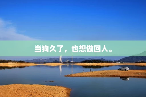 当狗久了,也想做回人。 当狗久了,也想做回人。