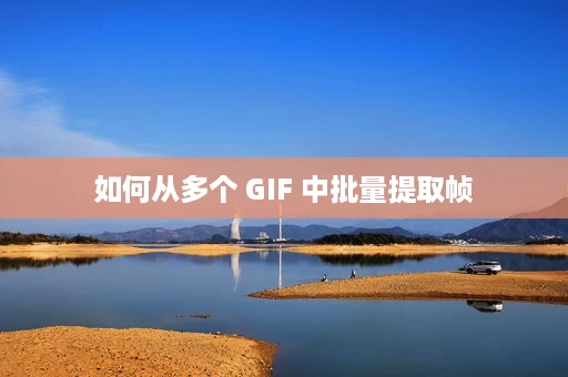 如何从多个 GIF 中批量提取帧 如何从多个 GIF 中批量提取帧