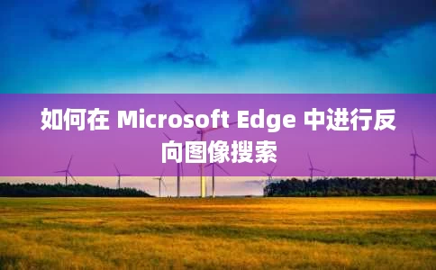 如何在 Microsoft Edge 中进行反向图像搜索 如何在 Microsoft Edge 中进行反向图像搜索