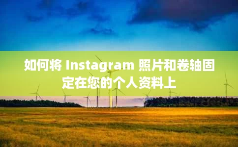 如何将 Instagram 照片和卷轴固定在您的个人资料上 如何将 Instagram 照片和卷轴固定在您的个人资料上