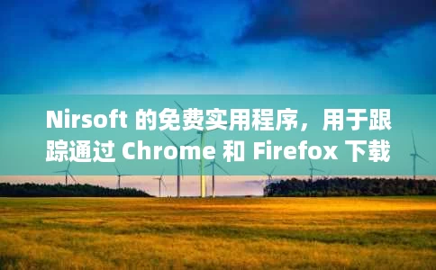 Nirsoft 的免费实用程序，用于跟踪通过 Chrome 和 Firefox 下载的文件