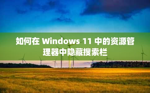如何在 Windows 11 中的资源管理器中隐藏搜索栏