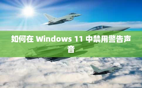 如何在 Windows 11 中禁用警告声音