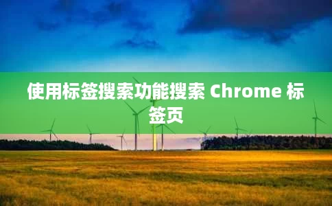 使用标签搜索功能搜索 Chrome 标签页