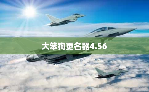 大笨狗更名器4.56 大笨狗更名器4.56