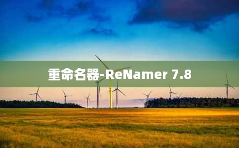 重命名器-ReNamer 7.8 重命名器-ReNamer 7.8