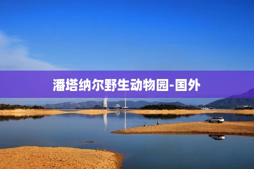 潘塔纳尔野生动物园-国外 潘塔纳尔野生动物园-国外