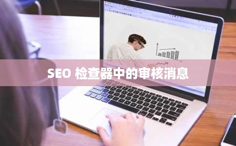 SEO 检查器中的审核消息 SEO 检查器中的审核消息