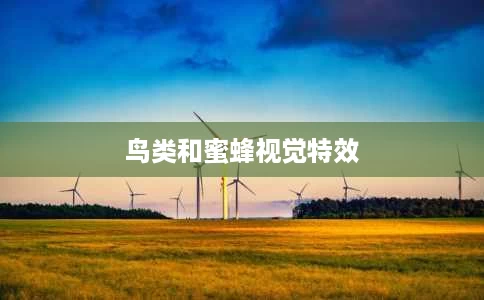 鸟类和蜜蜂视觉特效 鸟类和蜜蜂视觉特效