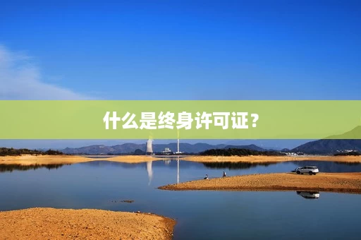 什么是终身许可证? 什么是终身许可证?