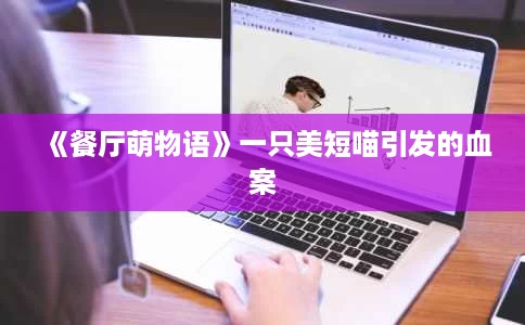 《餐厅萌物语》一只美短喵引发的血案 《餐厅萌物语》一只美短喵引发的血案